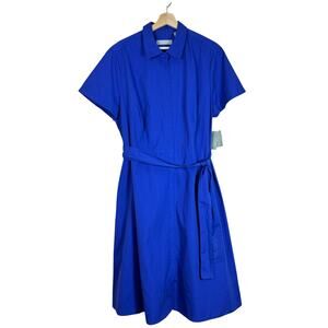 Elegant Blue Shirt Dress